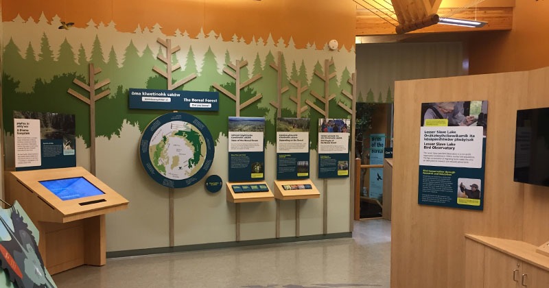 Boreal Center for Bird Conservation 